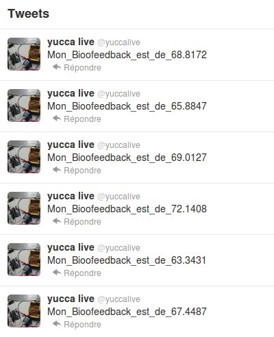 tweet-yucca